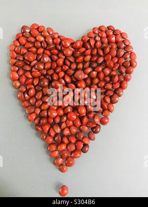 Fortunati semi rossi in forma di cuore-Adenanthera pavonina aka albero del tallone rosso, saga Foto Stock