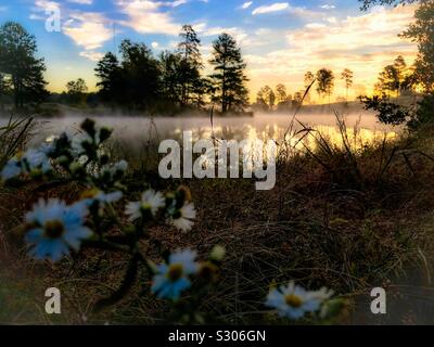 Frost Aestri in ottobre in scena con misty lago di sunrise Foto Stock