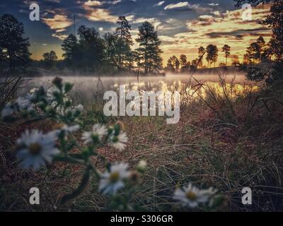 Alta definizione autunno foto di brina Aestri misty lago di sunrise Foto Stock