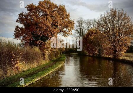 Vista lungo un canale che mostra i colori dell'autunno di alberi e di riflesso in acqua Foto Stock