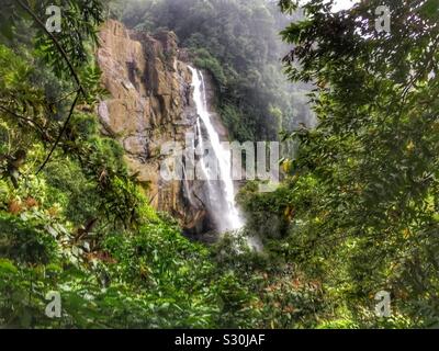 Una bella cascata nelle foreste dello Sri Lanka. Foto Stock