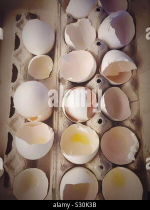 I gusci d'uovo in una scatola di cartone vicino fino Foto Stock