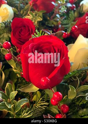 Un perfetto red rose si stabilirono in una presentazione bouquet riempita con altre rose bianche e rosse e bacche di vischio Foto Stock