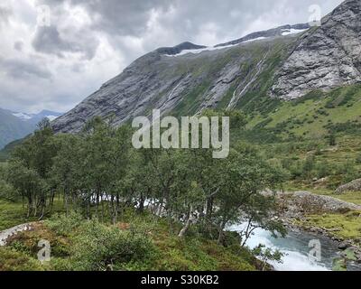 Blick auf die Berglandschaft mit Bachlauf, grüner Wiese und Bäumen in Hjelledalen - Norwegen Foto Stock