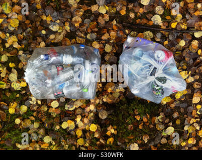 Due grandi sacchi pieni di plastica le bottiglie in PET e lattine di alluminio da riciclare, circondato da foresta rurale con fogliame di autunno sul terreno. Stoccolma, Svezia Foto Stock