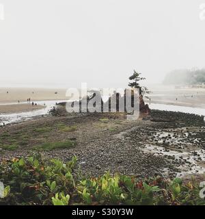 Le formazioni rocciose lungo la costa dell'Oregon Foto Stock