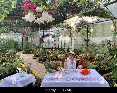 Il tè del pomeriggio con il tuo animale preferito in un giardino da sogno. Il lussureggiante giardino proposta a Sonya's Garden in Alfonso, Cavite, Filippine. Il lusso di tè del pomeriggio e pranzare in inglese bone china. Foto Stock