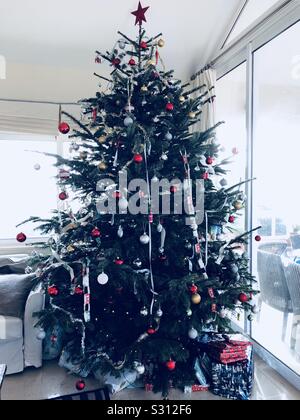 Albero di natale di fronte un sacco di windows Foto Stock