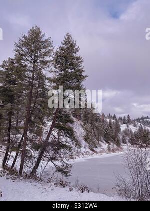 Coperta di neve alberi sempreverdi sulle rive di un piccolo lago ghiacciato. Foto Stock