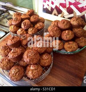 Quattro dozzina di pane appena sfornato senza glutine muffin sul piano di lavoro della cucina. Foto Stock