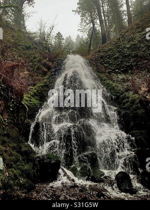 Fairy Falls, Oregon Foto Stock