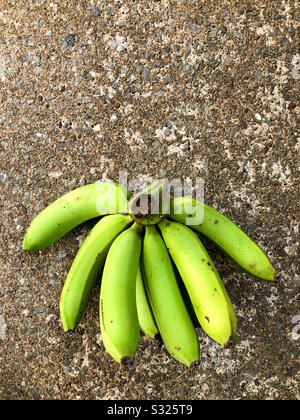 Banane verdi cavendish a terra. Foto Stock