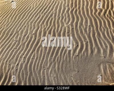 Linee, Ripples nella sabbia, sulla spiaggia, Australia Foto Stock