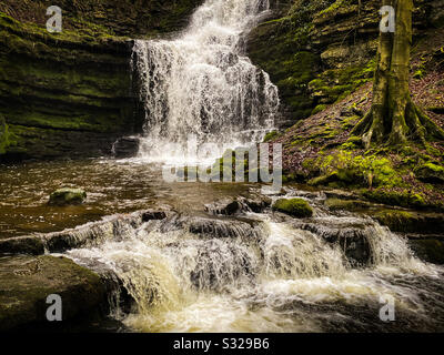 Cascate della forza di Scaleber nello Yorkshire Dales, nello Yorkshire, Regno Unito Foto Stock