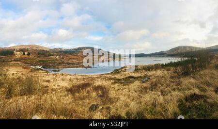 Vista panoramica del fiume Carrick Lane entrando a Loch Doon, Galloway Forest Park, Ayrshire, Scozia Foto Stock