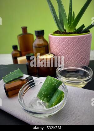 Gel Aloe vera e Aloe tagliati dalla pianta. Bottiglie aromatherapy generiche in background. Foto Stock