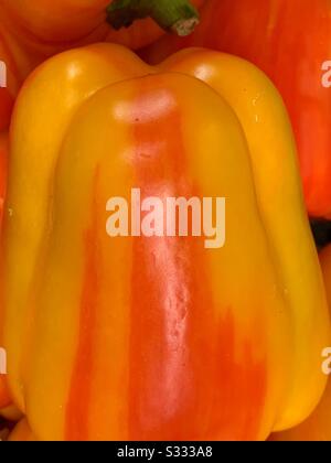 Peperone rosso e arancio a righe fresche Foto Stock