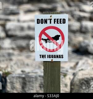 "Non sfamare le Iguanas" presso il sito archeologico di El Rey, Cancun, Quintana Roo, Messico Foto Stock