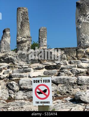 Cartello "Non dare da mangiare alle Iguanas", sito archeologico di El Rey, Hotel zone, Cancun, Quintana Roo, Messico Foto Stock