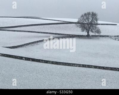 Regno Unito North Yorkshire 24th Febbraio 2020 - neve in tutto il terreno agricolo nel North Yorkshire Foto Stock