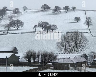 UK North Yorkshire, 24th Febbraio, Meteo: Neve attraverso i terreni agricoli nel North Yorkshire Foto Stock