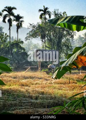 Risone rete, Sengkidu, Candidasa, Bali, Indonesia Foto Stock