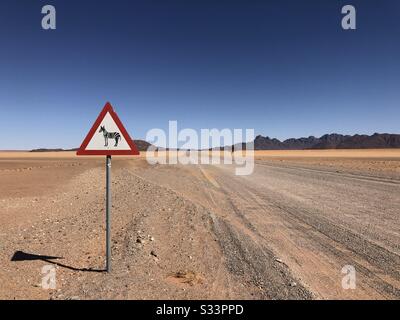 Zebra accedi in Namibia Foto Stock