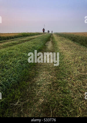 Primo piano di un sentiero pieno d'erba sulla Via Francigena in Italia. Quattro backpackers in background. Foto Stock