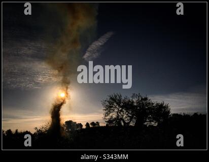 Bruciatura stagionale della potatura nell’oliveto, Catalogna, Spagna. Foto Stock