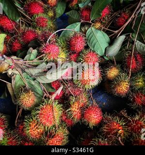 Rambutan localmente cresciuto per la vendita in una stalla stradale, Kampung Kuala Kuang, Kedah, Malesia Foto Stock