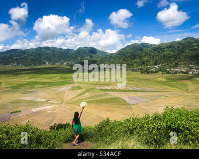 Persone da dietro, donna in abito verde godendo di vista del campo di riso spiderweb sull'isola di Flores in Indonesia durante le vacanze estive Foto Stock