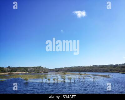 Tallow Creek, una laguna dietro le dune di Tallow Beach, Byron Bay, NSW, Australia Foto Stock