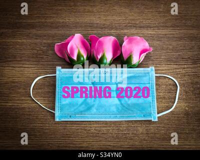 Rosa rose uscenti da una maschera chirurgica - Primavera 2020 durante Pandemy Coronavirus Foto Stock