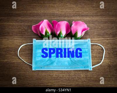 Rosa rose uscenti da una maschera chirurgica - Primavera 2020 durante Pandemy Coronavirus Foto Stock