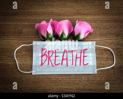 Rosa rose uscenti da una maschera chirurgica - Primavera 2020 durante Pandemy Coronavirus Foto Stock