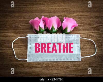 Rosa rose uscenti da una maschera chirurgica - Primavera 2020 durante Pandemy Coronavirus Foto Stock