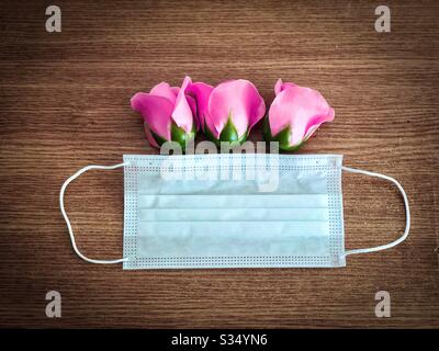 Rosa rose uscenti da una maschera chirurgica - Primavera 2020 durante Pandemy Coronavirus Foto Stock