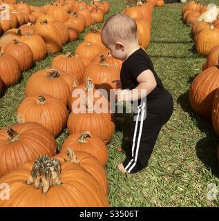 Bambino caucasico di dieci mesi in un cerotto di zucca. Il bambino è vestito in tutto il nero e in piedi in su guardando le zucche. È un giorno autunnale soleggiato prima di Halloween.