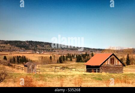 Vecchi fienili da cortile, agricoltura, vita di campagna, legno, strutture, Alberta, Canada, fienili di tronchi, boschi, colline pedemontane, alberi, Pole recinto, colline pedemontane, Foto Stock