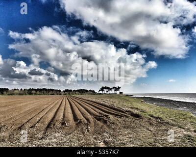 Terreno agricolo vicino al Mare del Nord e a rischio di erosione costiera Foto Stock