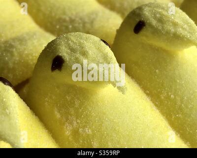 Peps marshmallow giallo Foto Stock