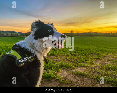 Passeggiate in campagna Foto Stock