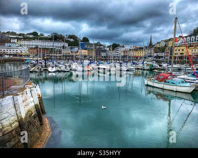 Porto di Torquay in una giornata di tempesta con un gabbiano in acqua, circondato da barche e edifici. Foto Stock