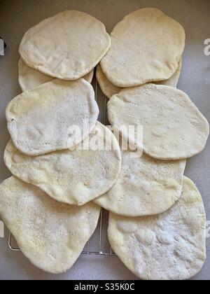 Basi per pizza fatte in casa: Dieci basi per pizza fatte in casa distribuite su una griglia di raffreddamento. Cucina a casa. Foto Stock