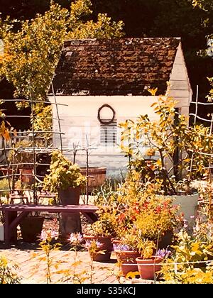 Grazioso piccolo giardino tra piante, piccoli alberi e fiori. Foto Stock