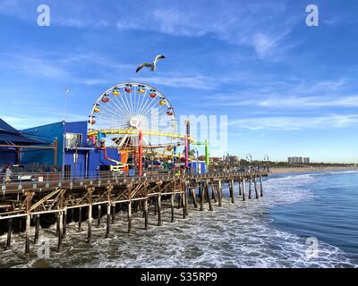 Seagull vola sulla ruota panoramica al Pacific Park, al molo di Santa Monica, Los Angeles, California Foto Stock