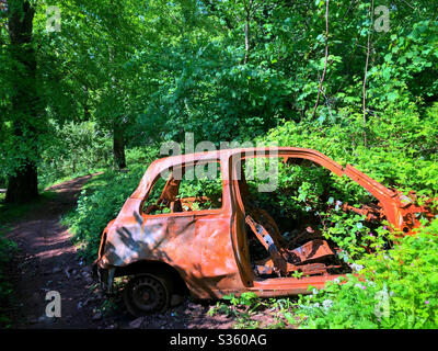 Abbandonata arrugginita e bruciata auto in bosco, Cardiff Galles del Sud. Foto Stock