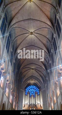 🇫🇷 Parigi, Francia: Soffitto a volta a navata della Cattedrale di Notre Dame, vetrate North Rose Window e Grand Organ Foto Stock