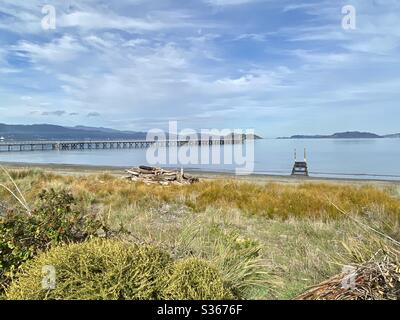 Petone Wharf Wellington Nuova Zelanda Foto Stock