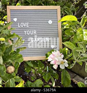 Amate il vostro giardino. Concetto di giardinaggio con bordo di lettera del feltro nei rami di un albero di mela nana con fiori di fiore e fogliame verde. Vista a fuoco selettivo con sfondo sfocato e spazio di copia. Foto Stock